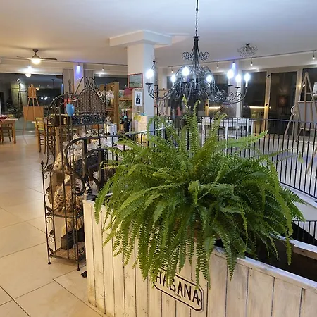 Adua Art 4* Castrignano del Capo